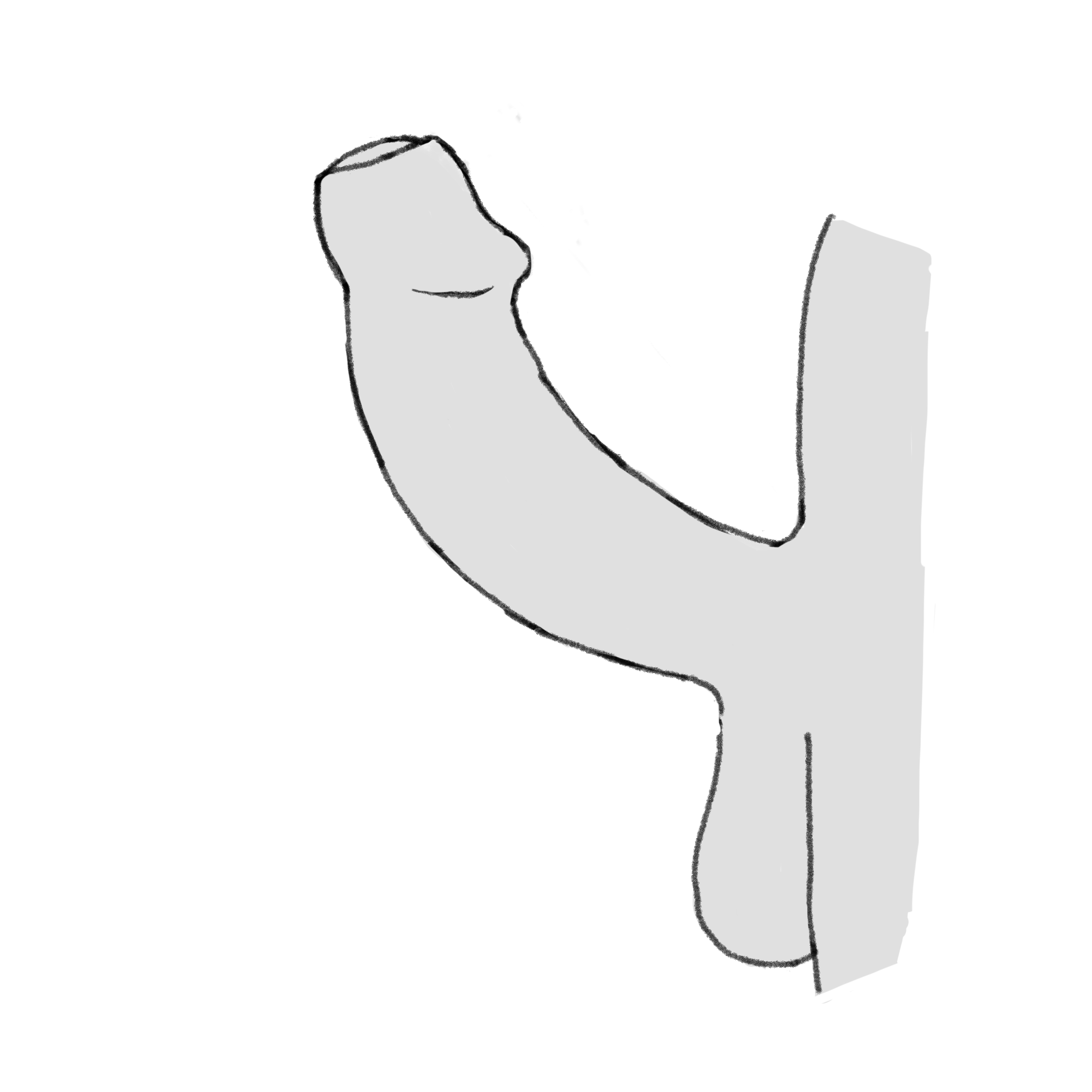 mituru's penis
