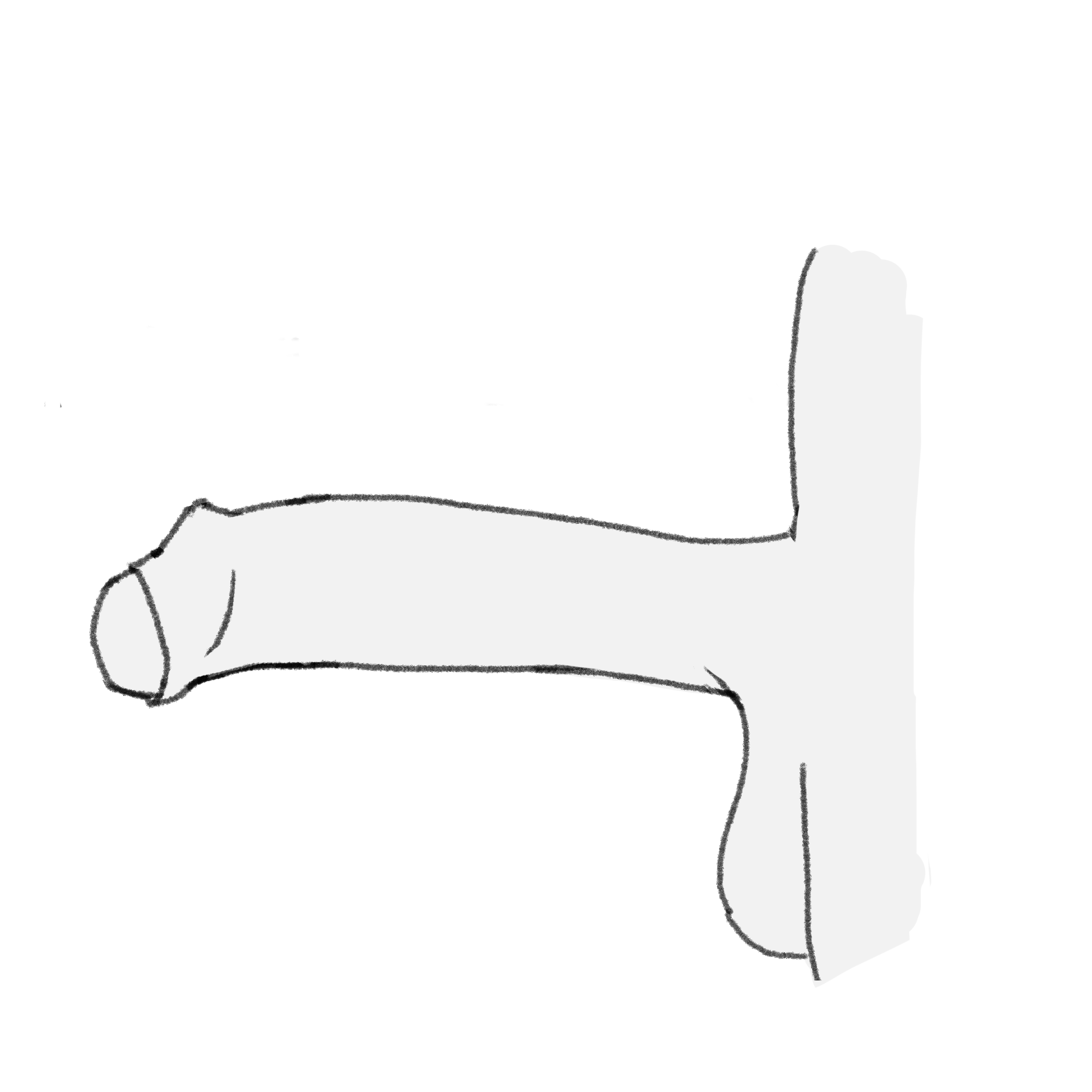 suzuri's penis